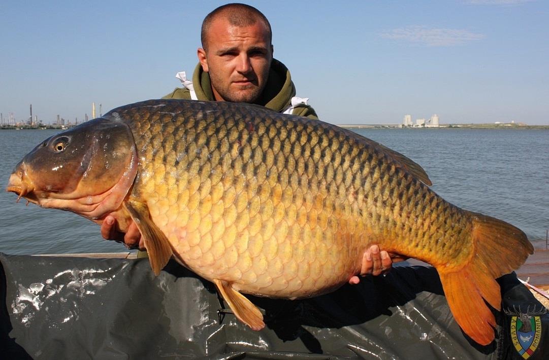 S-a stabilit programul pentru CN 2015. 